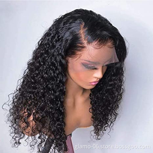 Annione Cuticle Aligned Hair Products Free Sample Wig Swiss Lace Wig Afro Kinky Curly Wig Virgin Cuticle Aligned Hair